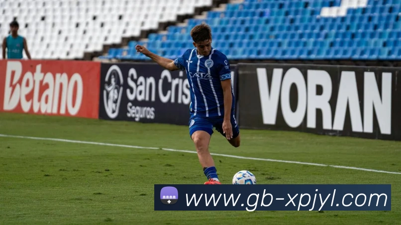 新葡京娱乐平台生态图