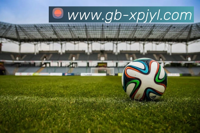 新葡京娱乐APP 封面图